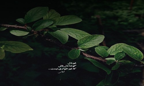 هیپهاپولوژیست اشیو مرد شدم عزا دار لابد حقمه